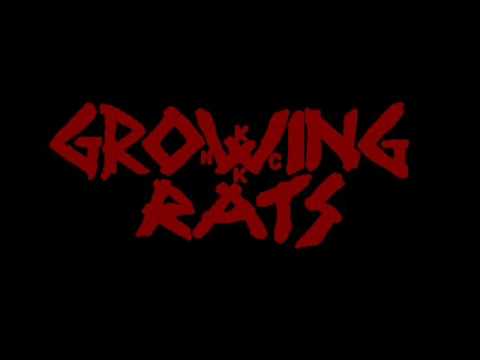 Growing Rats - Hvala (kao Senata Fox)
