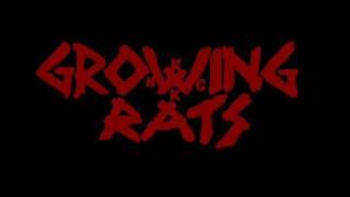Growing Rats - Hvala (kao Senata Fox)