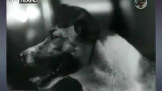 Mecano - Laika (Homenaje)