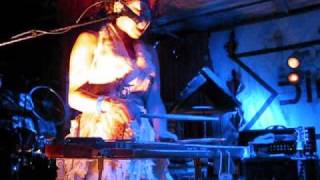 Sleepytime Gorilla Museum ~ The Only Dance