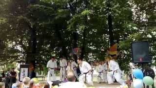 preview picture of video 'Karate Kyokushin Sosnowiec HD'