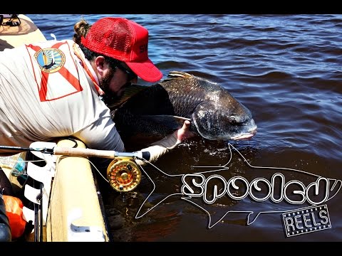 Tailing Black Drum on Fly (Once Upon A Time...)