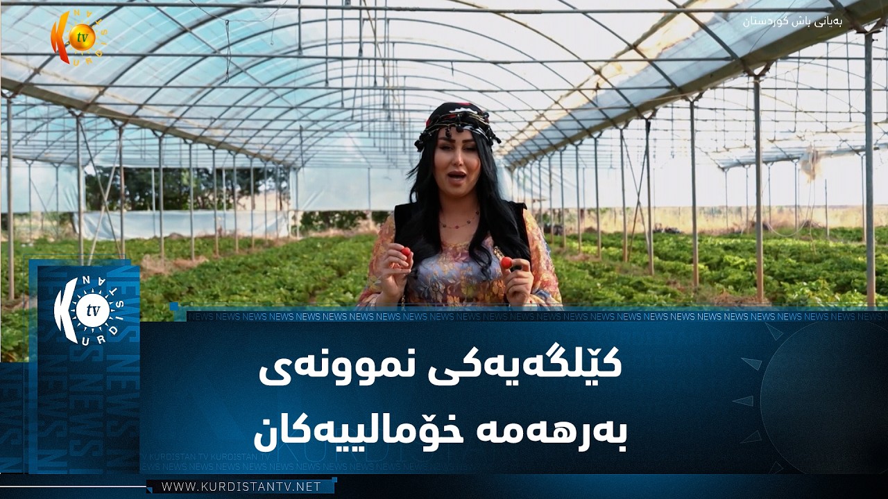 ڤیدیۆ | باخێ یارێ.. کێلگەیەکی نموونەی کە گەشتیارانی هەرێم و ناوەراستی عێراق لە دەوری بەرهەمە خۆمالییەکان کۆ