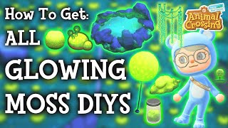 How To Get Every Glowing Moss DIY | Animal Crossing New Horizons