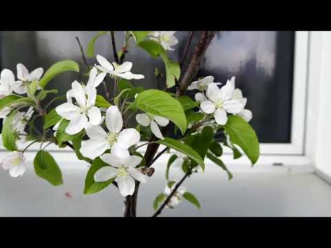 When — watch on YouTube