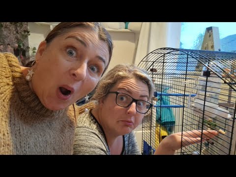 NADIA ÅBNER TIL REDEN🦜 ÆGGENE🥚BANGE FOR DVÆRGPAPEGØJERNE🤣