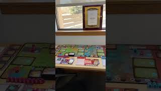 A lonely job. #boardgames #sologaming