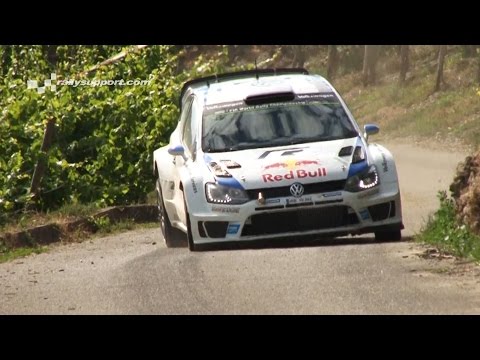 VOLKSWAGEN POLO R WRC TRIBUTE | 2013 - 2016