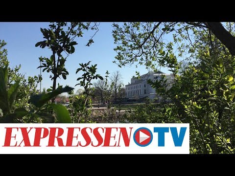 Så blir vädret i valborg – sol i nästan hela landet