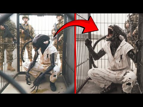 This Leaked Footage From Area 51 Has Everyone Asking Questions