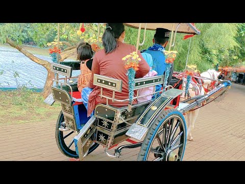 Naik delman istimewa kuda setu babakan