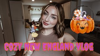 Cozy New England DITL Vlog 2025