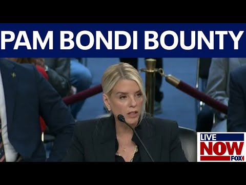 Video | MN man accused of posting $45k bounty for AG Pam Bondi online