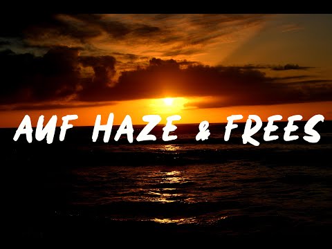 NYSO - Auf Haze & Frees