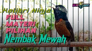Download lagu MASTERAN KONIN GACOR FULL MATERI PILIHAN - KOLIBRI NINJA NEMBAK ISIAN MEWAH mp3 Download lagu MASTERAN KONIN GACOR FULL MATERI PILIHAN - KOLIBRI NINJA NEMBAK ISIAN MEWAH mp3