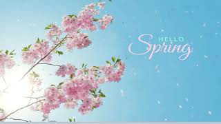Hello Spring!