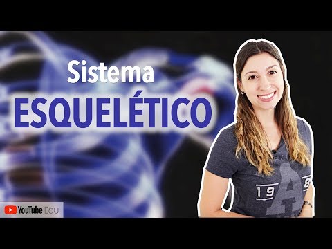 Skeletal System 1/5: Introduction | Anatomy and etc.