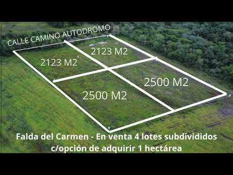 Falda del Carmen - en venta 4 Lotes subdivididos c/ opción de adquirir 1 hectárea