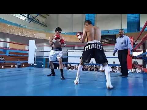 Iniciando su carrera como profecional victor hugo domingez