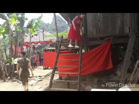 I'm relaxing with my dog and using the wooden stairs with my prosthetic leg