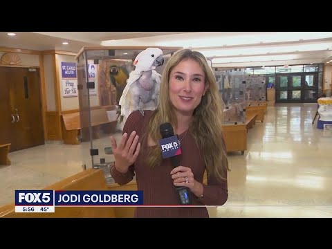 Kellenberg Memorial High School
