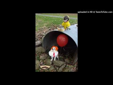 [FREE] PATOTRAP X YOUNG POLICJA X MŁODY STARY TYPE BEAT "TEGO TYPU" (prod. twoj stary)