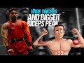 8 Best Biceps & Triceps Hypertrophy Exercises