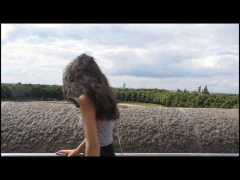 The Leipzig Travel Diary