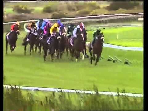 TOP SELLER Kenilworth 27-11-10 Race 8