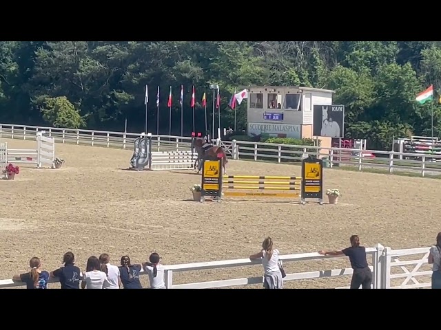  Cavalla zangersheide 2019