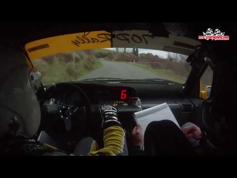 Rallyday della Fettunta 2016 Pelacchi - Forconi  Renault Clio A/7