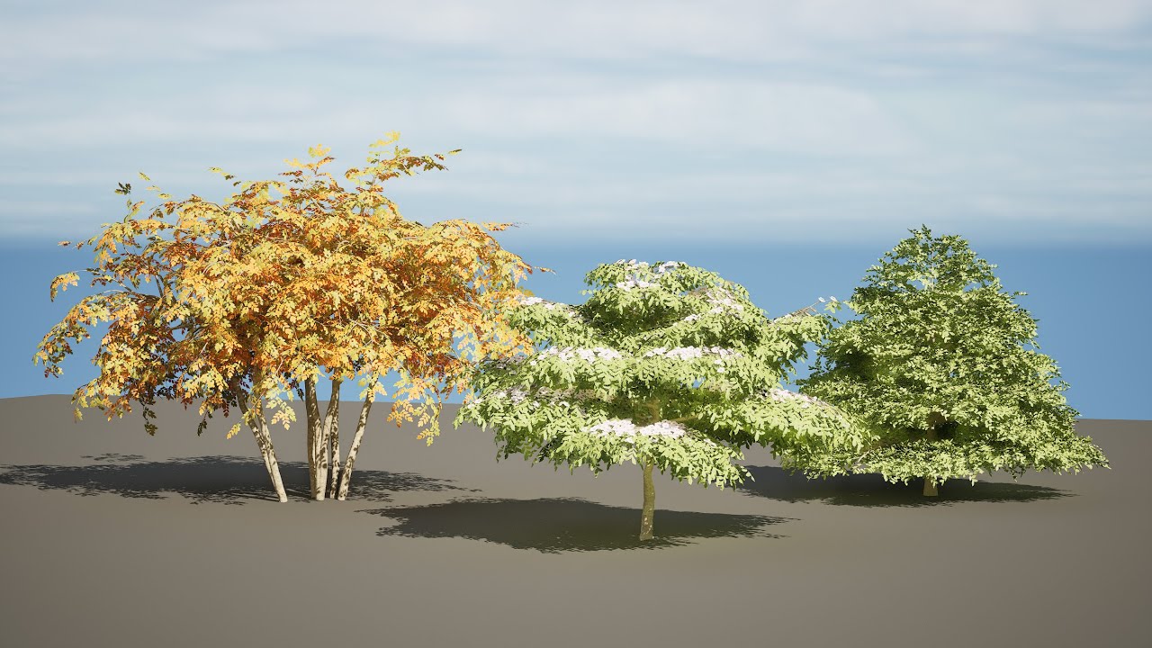 3 season Green Osier Shrub 3D Model