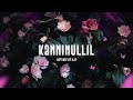 Kanninullil Nee Kanmani Lofi Mix Malayalam Slowed Music