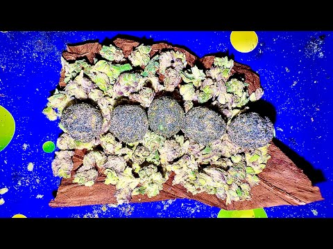 EXTREME MOONROCK INFUSED BBW!!