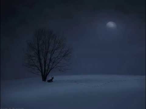 Queen Margot-Lullaby