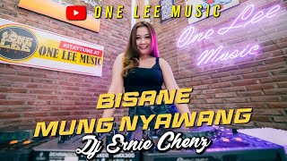 Download lagu DJ Ernie Chenz - Bisane Mung Nyawang mp3