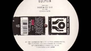 Dolphin - Under Water