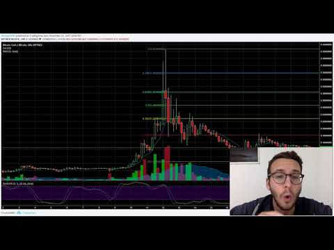 Market Update Nov.7