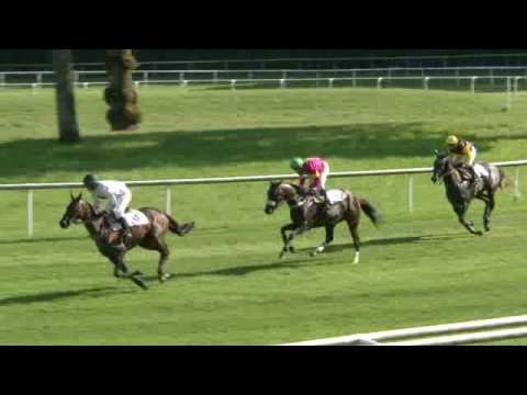 Aarau/11.09.2016/GP der Jura Cement - 69.GP der Schweiz (L)