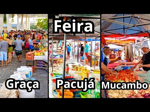 Visitando a feiras do Graça, Pacujá e Mucambo vamos explorar o preço nesse quaresma.