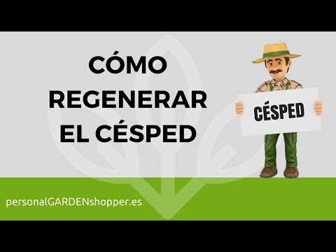 El Césped | Plantas
