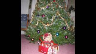 John Prine Christmas Talk