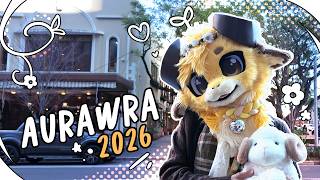 Aurawra 2026 ♪ Candy