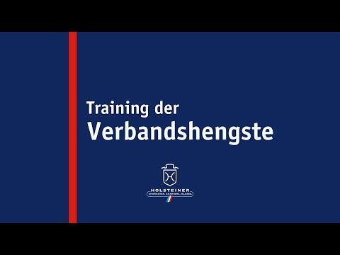 Die Verbandshengste im Training - Lewine