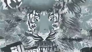 Chase the Comet - &quot;Burned Again&quot; (Official Lyric Video)