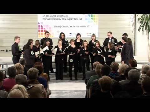 Večerni ave - Vokalna skupina Dar