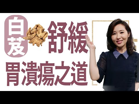 白芨 舒緩胃潰瘍之道 | 莊佳穎 | 大愛學漢醫 | 20240408