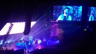 STEROPHONICS 🎶WHAT&#39;S ALL THE FUSS ALL ABOUT🎶