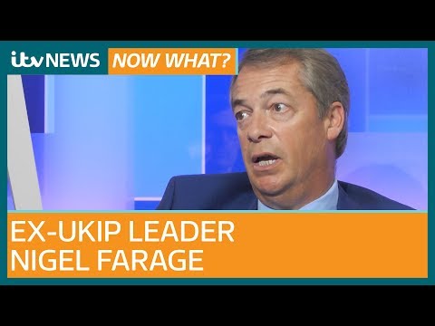 Nigel Farage on 'ludicrous' Brexit plans and what Tommy Robinson petition says about UK | ITV News
