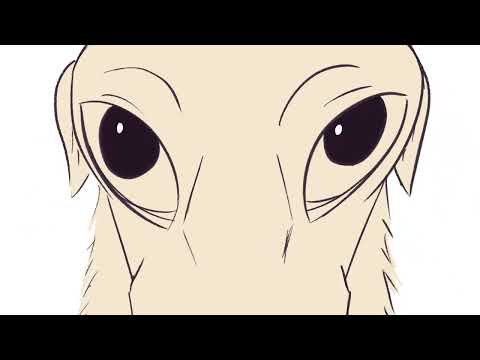 didn't I do it for you